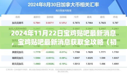 2024年宝鸡贴吧最新消息获取指南，初学者与进阶用户全攻略