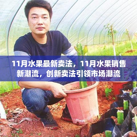 11月水果销售创新引领市场潮流，最新卖法揭秘