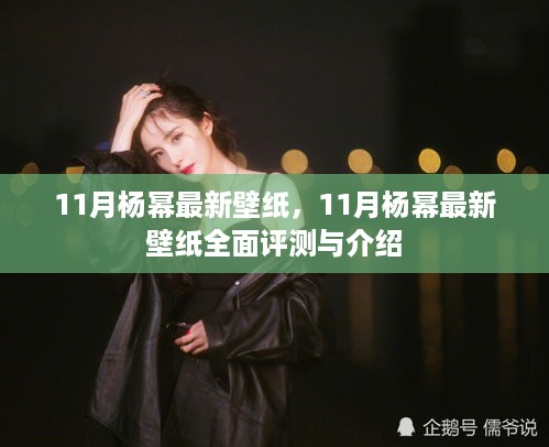 11月杨幂最新壁纸，全面评测与详细介绍