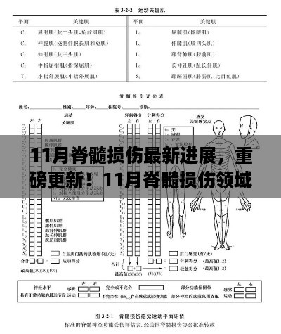 11月脊髓损伤领域革新风暴，最新进展引领康复之路