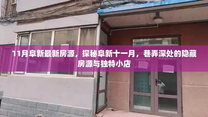 阜新十一月深度探索，巷弄深处的隐藏房源与独特小店