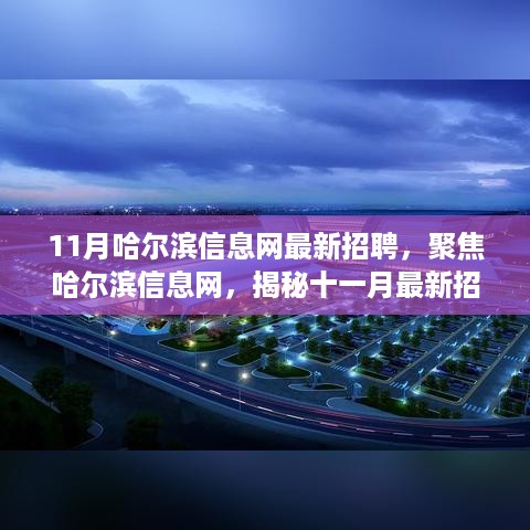 揭秘哈尔滨信息网十一月最新招聘热点