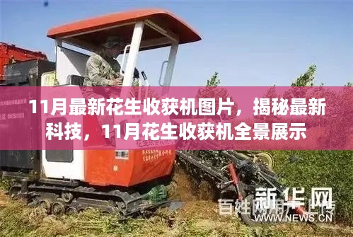 揭秘最新科技，11月花生收获机全景展示与图片更新