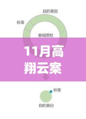 揭秘高翔云案件最新进展，深度解析与应对步骤指南（初学者进阶版）