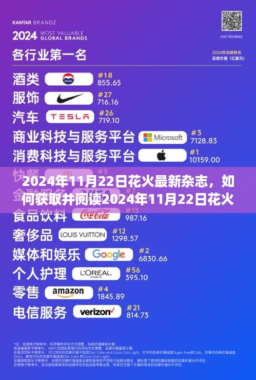 2024年11月22日花火杂志获取与阅读指南，从初学者到进阶用户的详细教程