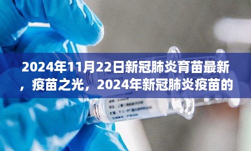 疫苗之光，探索新冠肺炎疫苗最新进展与成长之路（2024年11月）