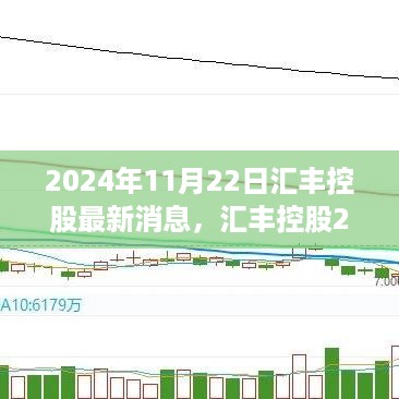 汇丰控股最新动态解析及观点探讨（2024年11月22日）