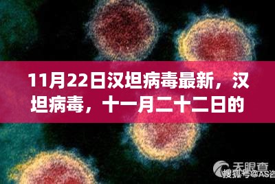 汉坦病毒最新进展与影响深度探讨，11月22日报告更新