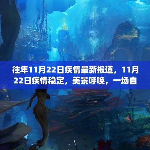 11月22日疫情稳定，自然探索之旅的启示与美景呼唤