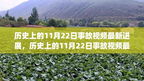 11月22日事故视频最新进展深度解析，多方视角探讨与洞察