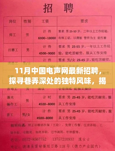 揭秘十一月中国电声网招聘背后的故事，探寻独特风味的人才之旅