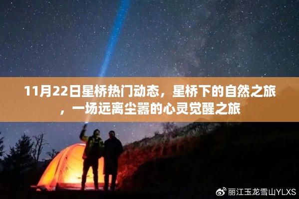 星桥下的自然之旅，心灵觉醒的星桥热门动态