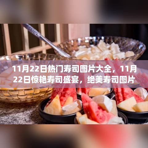 11月22日寿司盛宴，绝美图片大赏，领略寿司的魅力