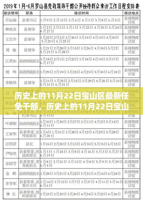 历史上的11月22日宝山区干部任免动态及深度解析