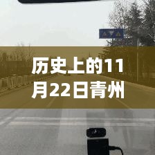 历史上的11月22日青州车祸事件深度解析与回顾