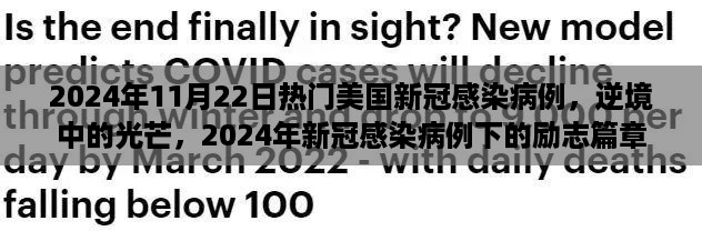 2024年逆境中的光芒，美国新冠感染病例下的励志篇章