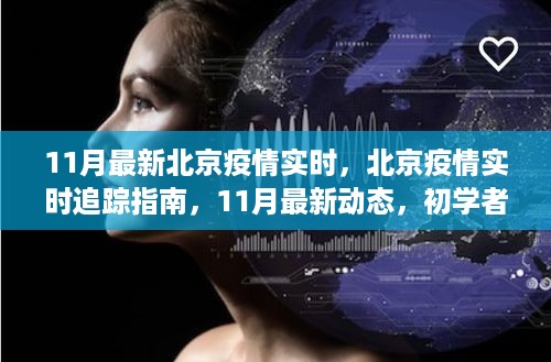 北京疫情实时追踪指南，11月最新动态，适合初学者与进阶用户