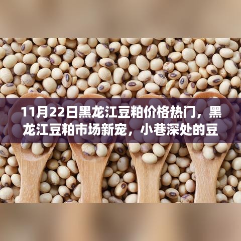 黑龙江豆粕市场新宠揭秘，豆粕秘境探秘与价格动态分析