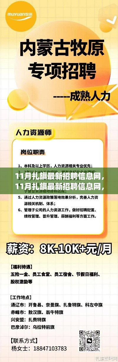 11月扎旗最新招聘信息网，职业探索的黄金季节