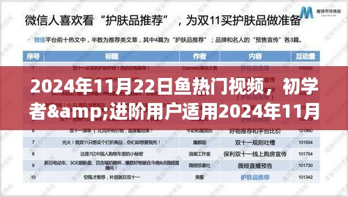 2024年热门鱼视频制作全攻略，适合初学者与进阶用户