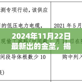 揭秘金圣新篇章，金圣新品重磅发布于2024年11月22日