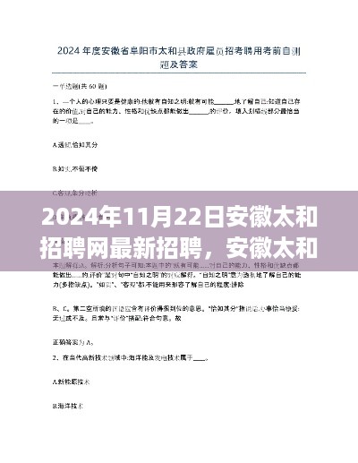 安徽太和招聘网最新招聘测评报告深度解析（2024年11月）