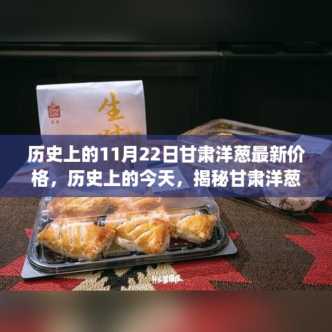 甘肃洋葱历史价格揭秘，探寻小红书上11月22日的行情时光之旅