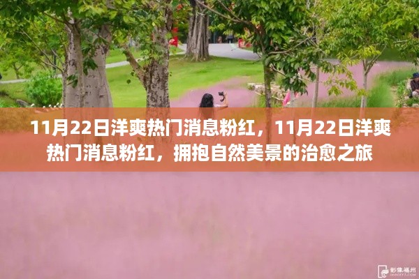 11月22日洋爽热门粉红消息，自然美景的治愈之旅