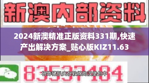 2024新澳精准正版资料331期,快速产出解决方案_贴心版KIZ11.63