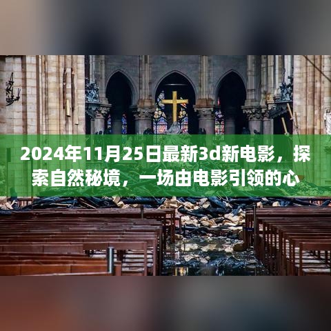 探索自然秘境，最新3D电影的心灵之旅（2024年11月）