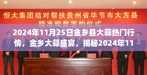 揭秘金乡大蒜盛宴，2024年11月25日行情深度解析与背后故事。