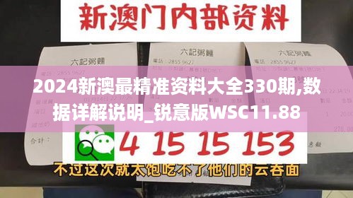 2024新澳最精准资料大全330期,数据详解说明_锐意版WSC11.88