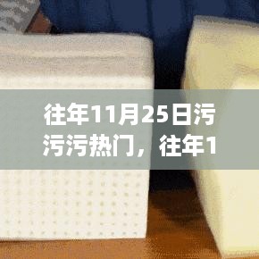 往年11月25日热门产品评测，特性、体验、对比与用户群体分析揭秘污污污热门产品内幕