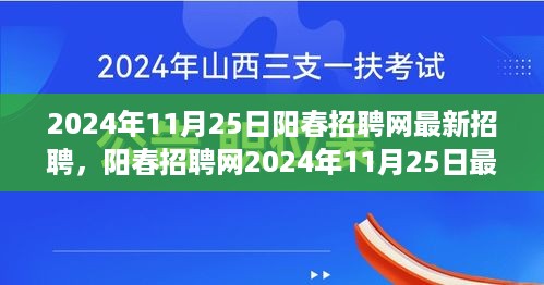 阳春招聘网盛况回顾，最新招聘浪潮揭秘，2024年11月25日招聘盛况展望