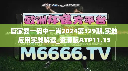 管家婆一码中一肖2024第329期,实地应用实践解读_资源版ATP11.13