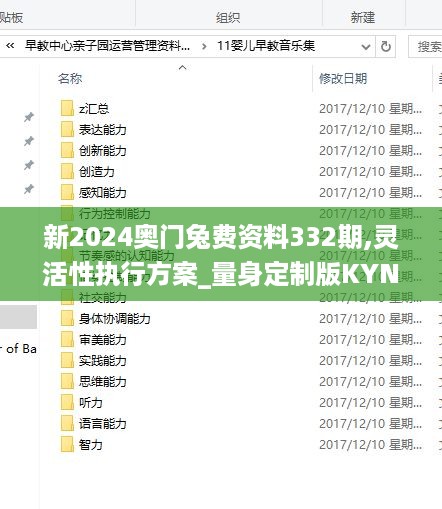 新2024奥门兔费资料332期,灵活性执行方案_量身定制版KYN11.56