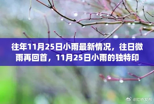 11月25日小雨的独特印记，往日微雨再回首的温馨故事