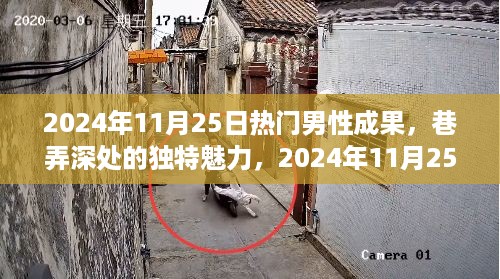 巷弄深处的独特魅力，揭秘男性成果在2024年11月25日的独特风采