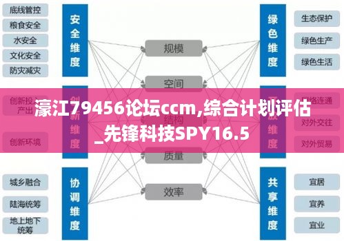 濠江79456论坛ccm,综合计划评估_先锋科技SPY16.5