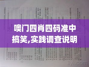 噢门四肖四码准中搞笑,实践调查说明_实用版HXV16.23