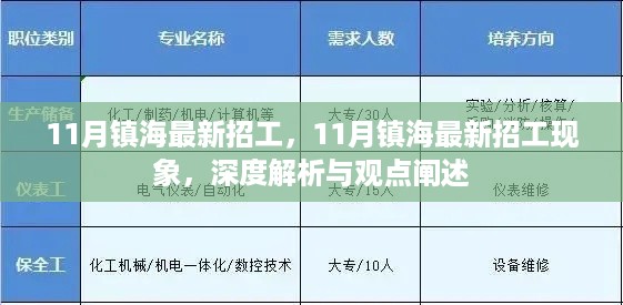 11月镇海最新招工现象深度解析与观点阐述