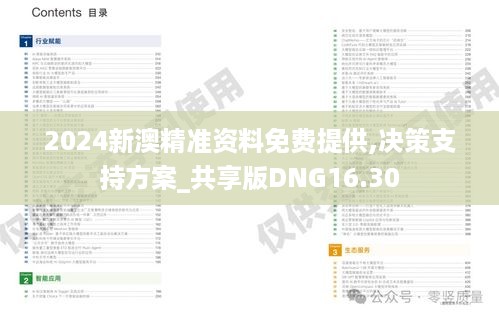 2024新澳精准资料免费提供,决策支持方案_共享版DNG16.30