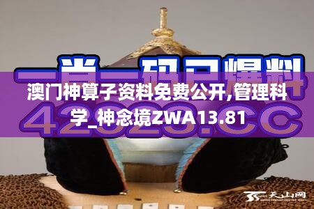 澳门神算子资料免费公开,管理科学_神念境ZWA13.81