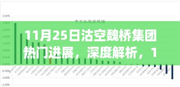 独家解析，11月25日沽空魏桥集团最新进展深度报告