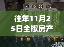 全椒房产最新房价揭秘，小巷特色小店背后的奥秘与深度探秘之旅