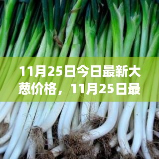 11月25日大葱价格查询与购买策略，初学者也能轻松掌握的技能