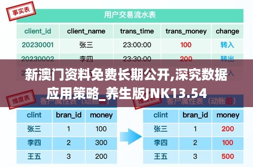 新澳门资料免费长期公开,深究数据应用策略_养生版JNK13.54