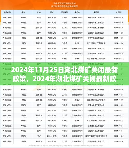 湖北煤矿关闭最新政策解析及影响展望（2024年11月）