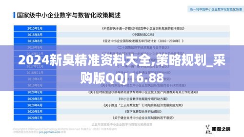 2024新臭精准资料大全,策略规划_采购版QQJ16.88