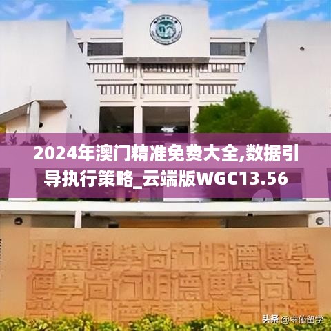 2024年澳门精准免费大全,数据引导执行策略_云端版WGC13.56